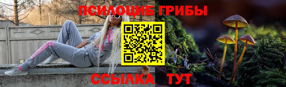 Галлюциногенные грибы прущие грибы Курск