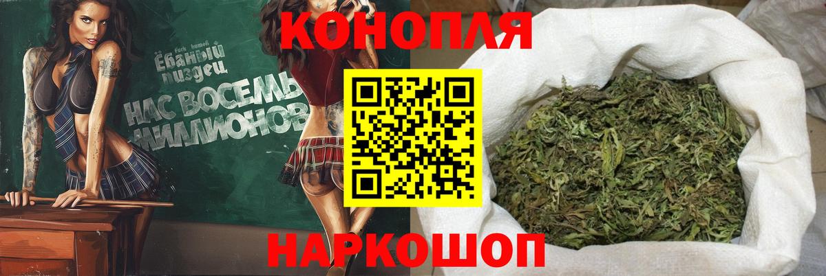 Курск  Бошки марихуана индика  Бошки марихуана конопля  Вход с VPN  Конопля OG Kush 